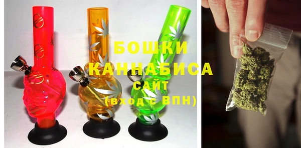 индика Липки