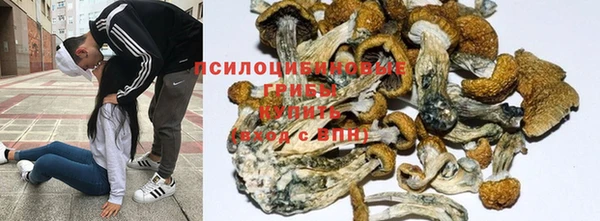 кокаин колумбия Лиски