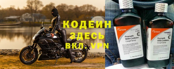 индика Липки
