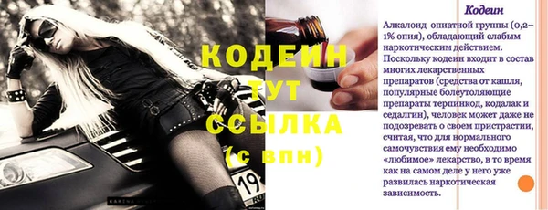 индика Липки
