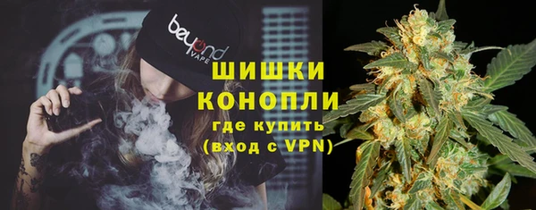 индика Липки