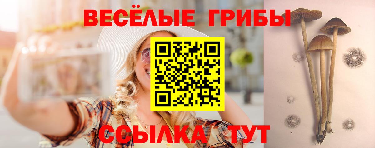 где можно купить   Вход с VPN  Владикавказ  Галлюциногенные грибы GOLDEN TEACHER 