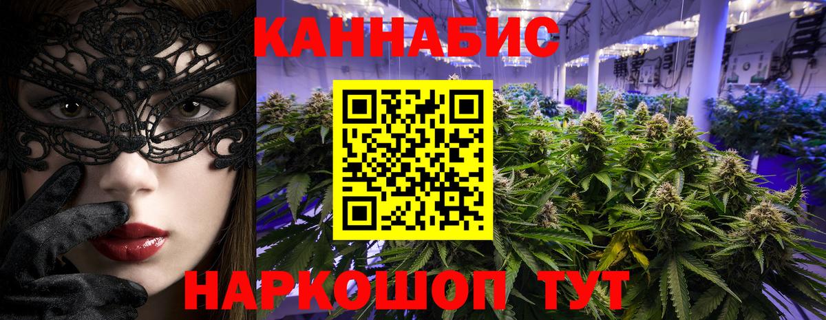 Шишки марихуана конопля  Вход с VPN  Марихуана Bruce Banner  МАРИХУАНА планчик  Владикавказ  МАРИХУАНА тримм 